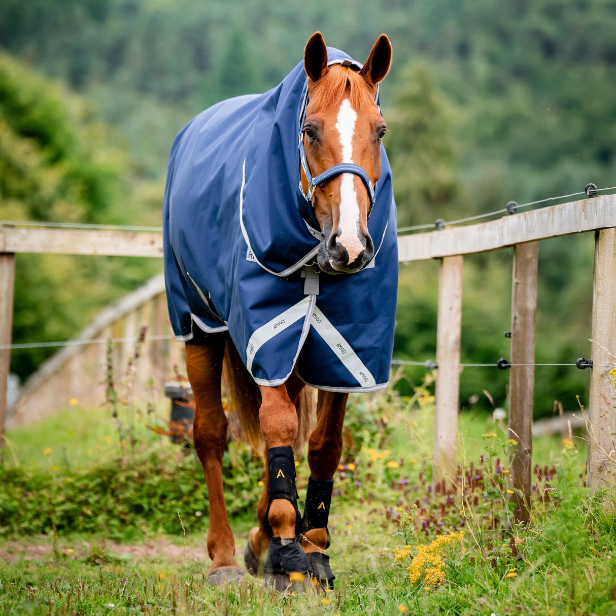 Horseware Ireland Amigo Bravo 12 Plus 0g Lite Turnout Rug #colour_navy-titanium-grey-silver