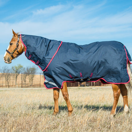 Horseware Ireland Amigo Bravo 12 Plus 250g Medium Turnout Rug #colour_navy-red-blue