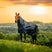 Horseware Ireland Amigo Ripstop 900 Plus 100g #colour_witney-navy
