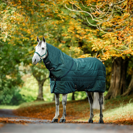 Horseware Ireland Amigo Ripstop Insulator Stable Hood 100g #colour_dynasty-green-navy-silver