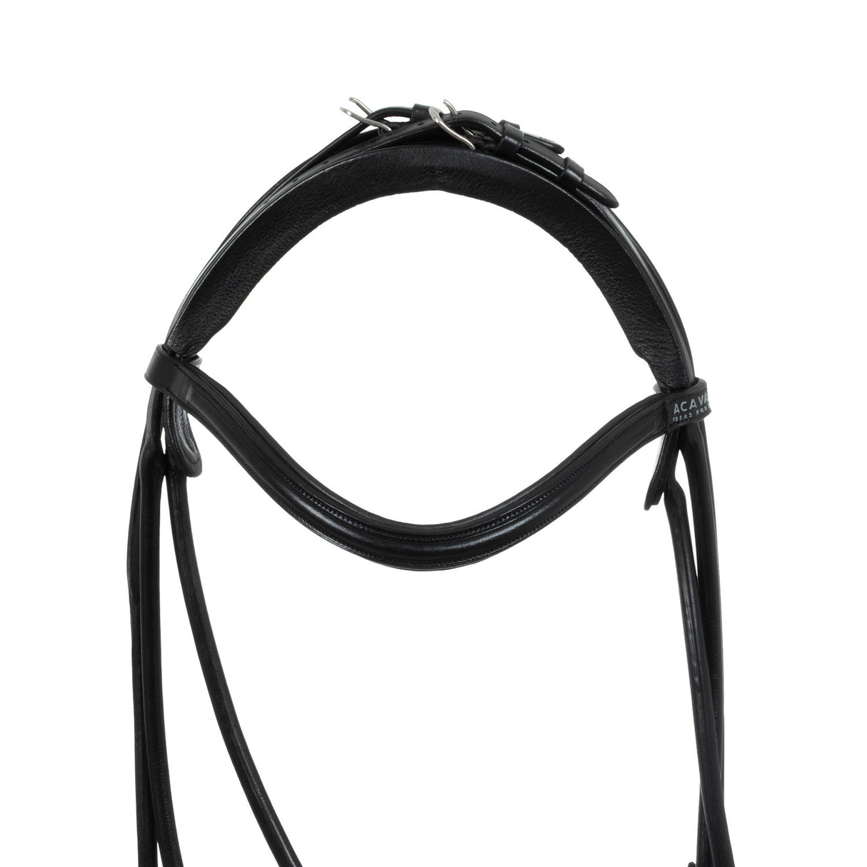 Fornarina bridle laminated calfskin