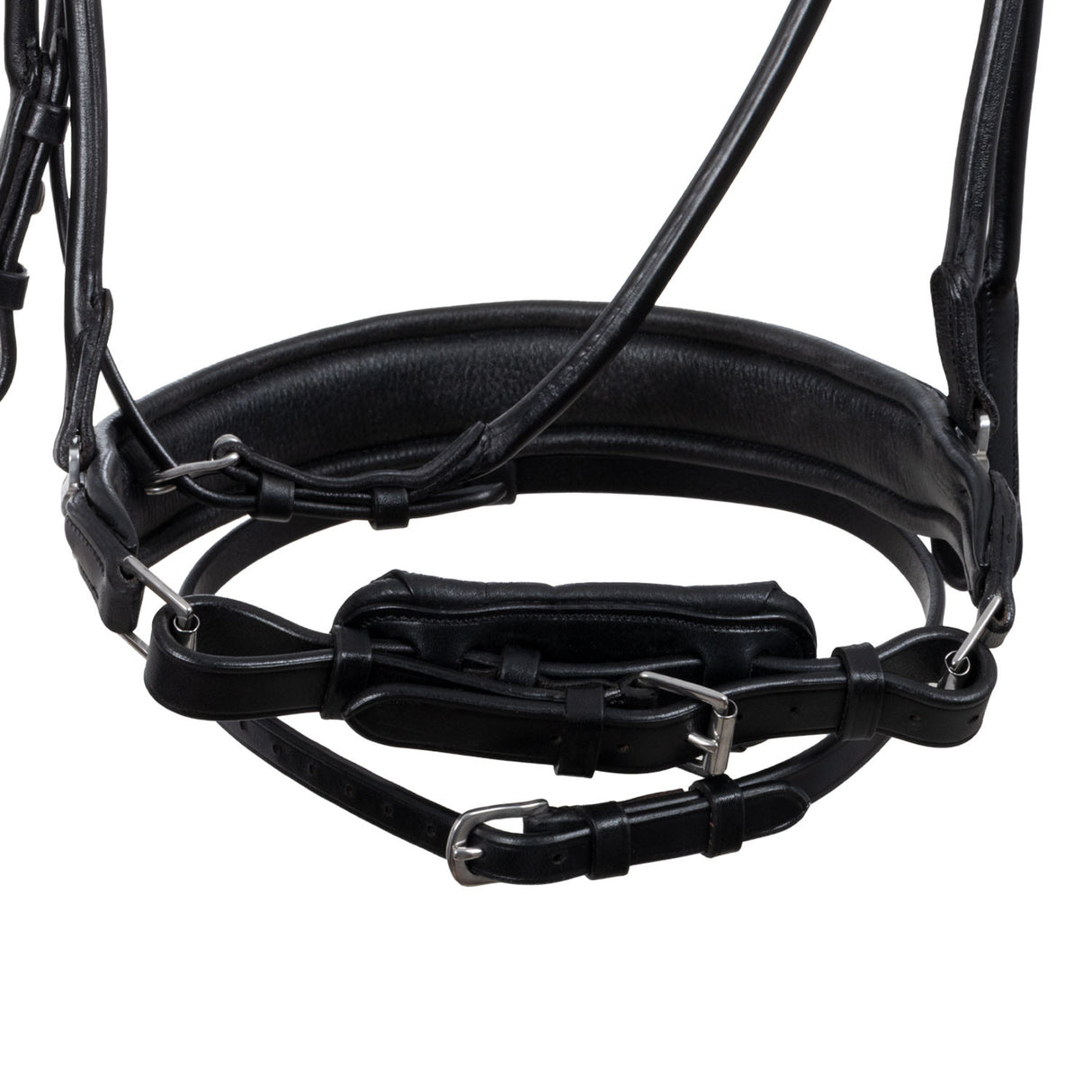 Fornarina bridle laminated calfskin