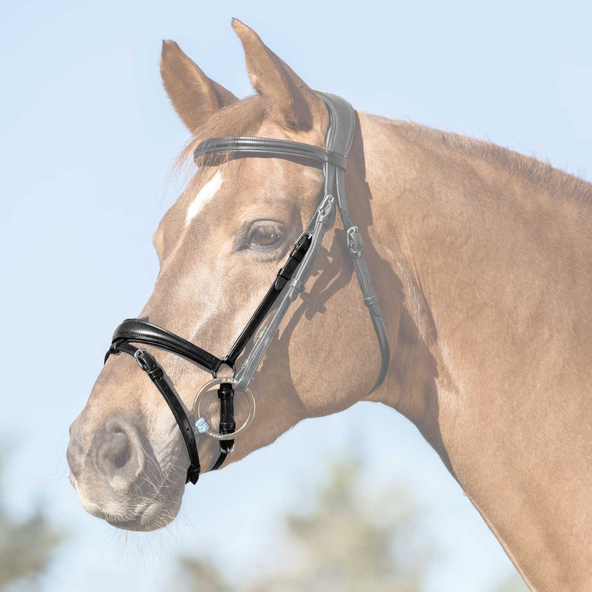 Flash noseband quick coupling