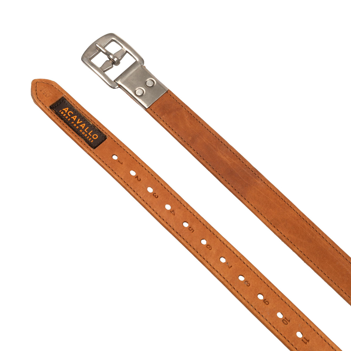 Calfskin stirrup leathers encased buckle