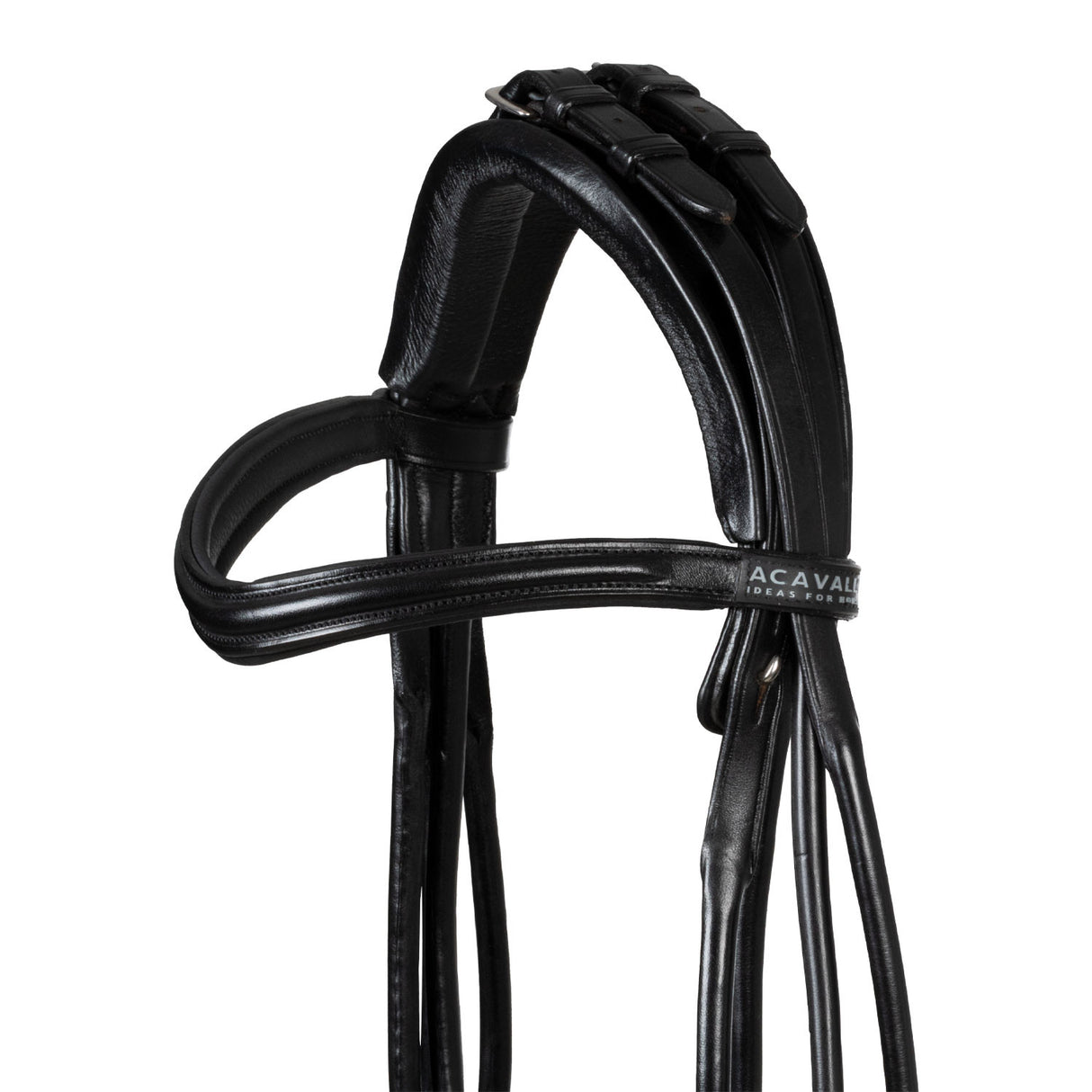 Parnaso bridle double reins