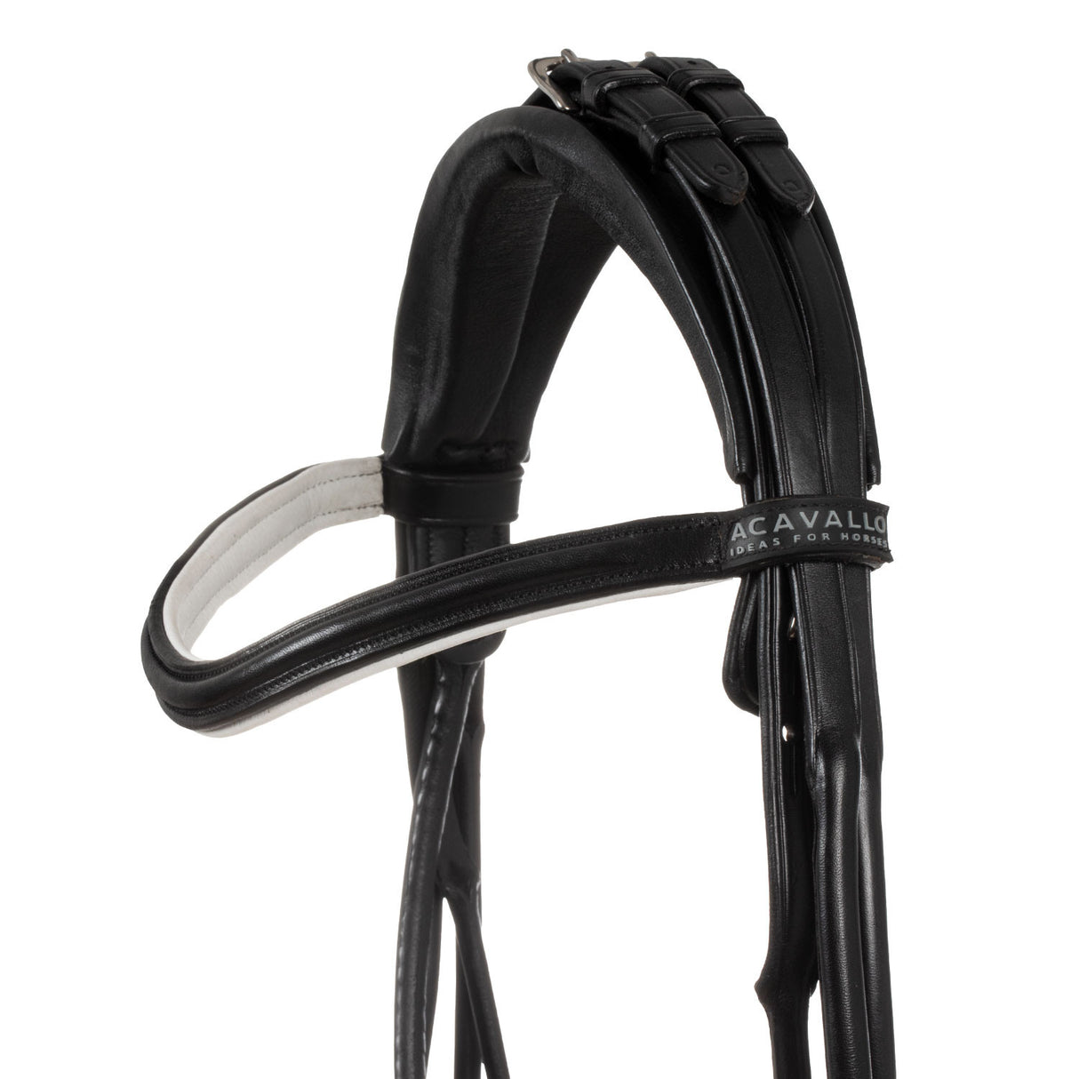 Parnaso bridle double reins