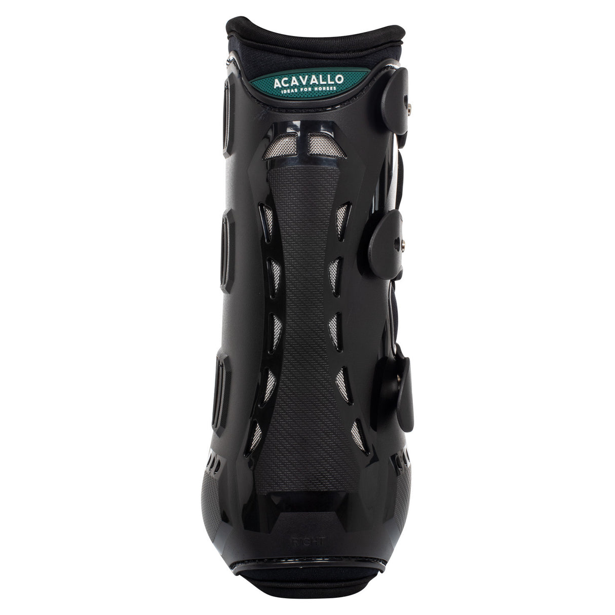 Anatomical hind dressage boots