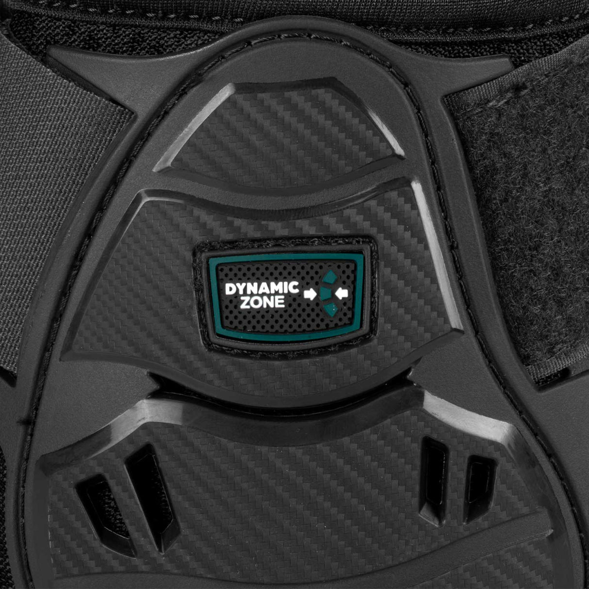 Skeleton Dynamic Zone Fetlock