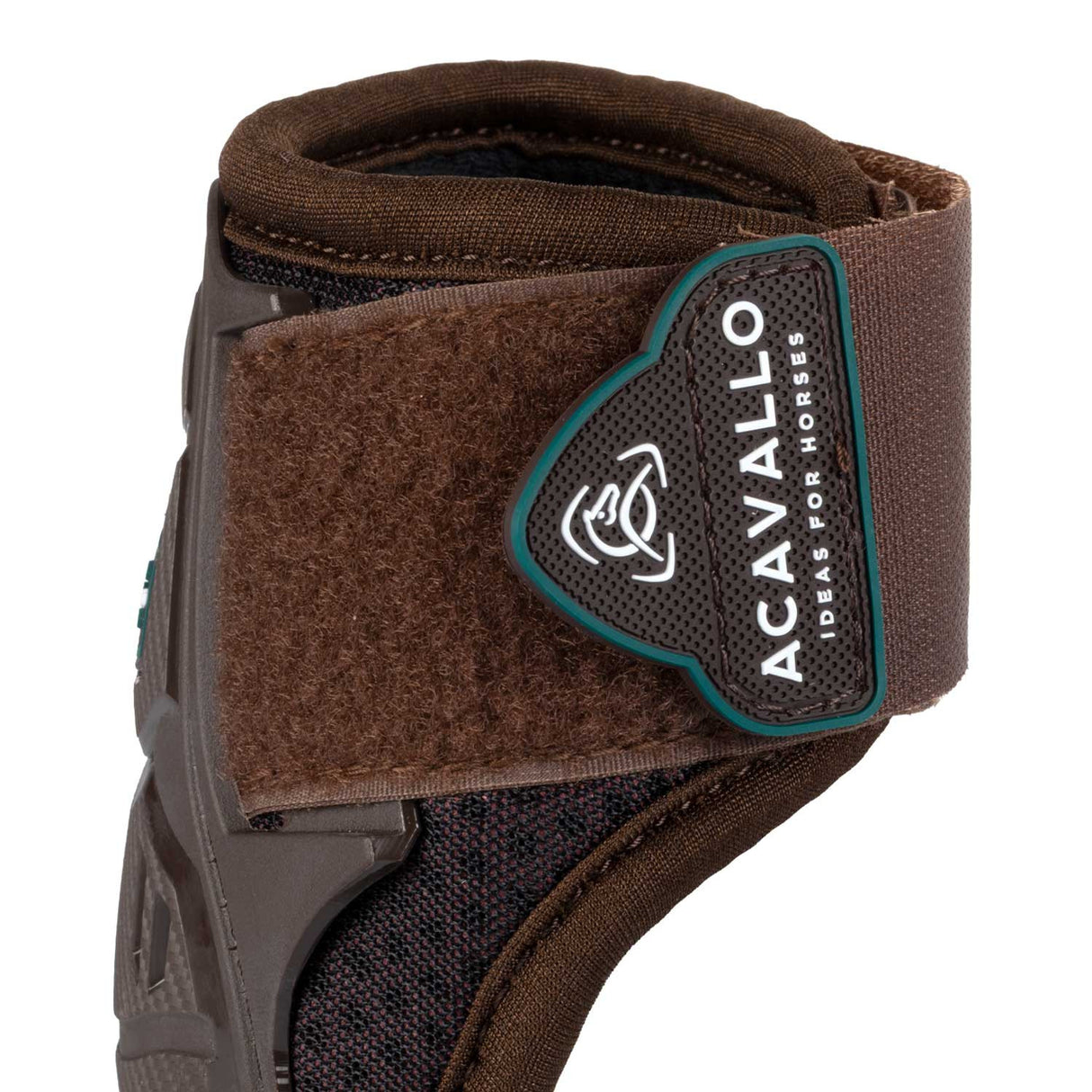 Skeleton Dynamic Zone Fetlock