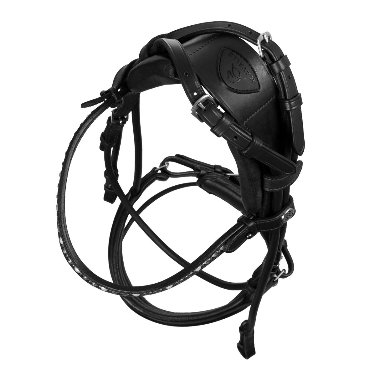 Damigella bridle calfskin