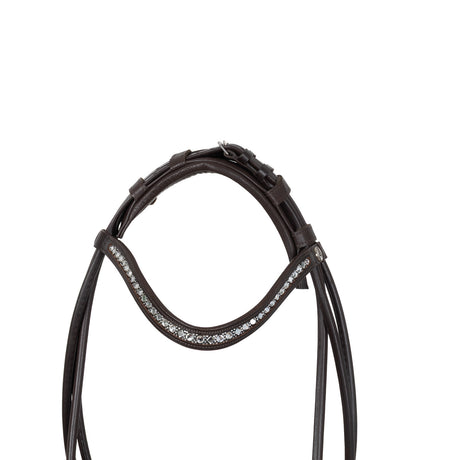 Iris bridle calfskin