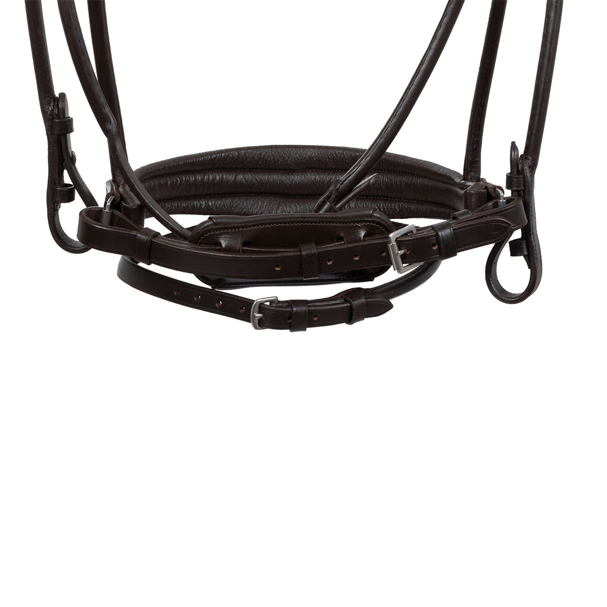 Iris bridle calfskin