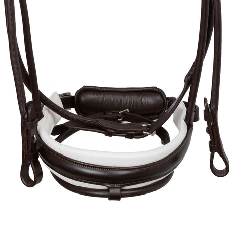 Iris bridle calfskin