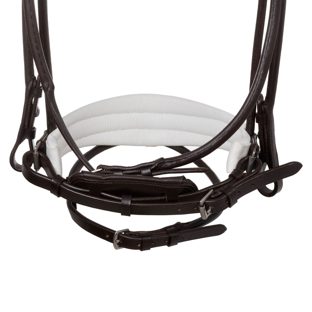 Iris bridle calfskin