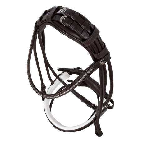Iris bridle calfskin
