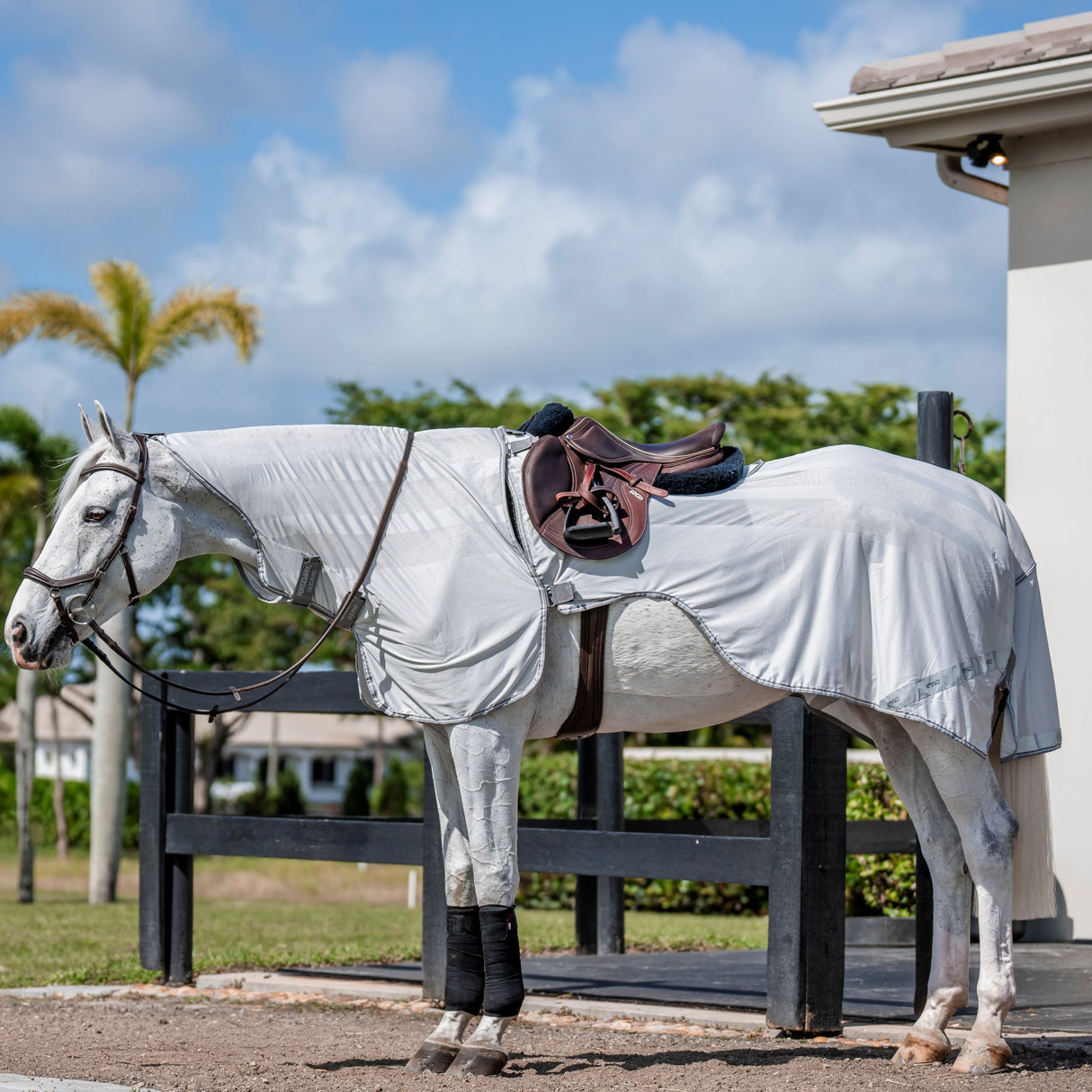 Horseware Ireland Amigo Flyrider #colour_silver-titanium-grey-silver