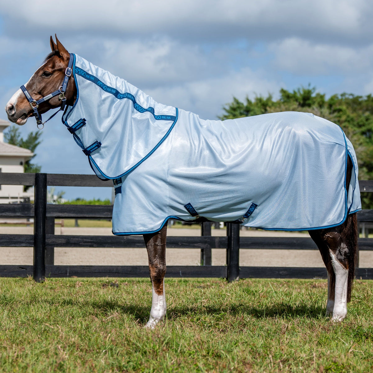 Horseware Ireland Amigo Bug Rug Plus – GS Equestrian