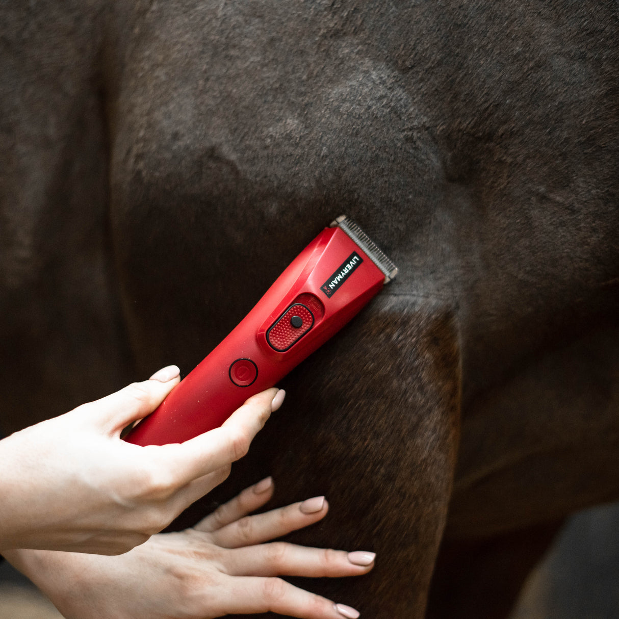 Liveryman Nova Trimmer