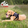 Ancol Extreme Hybrid Harness #colour_black