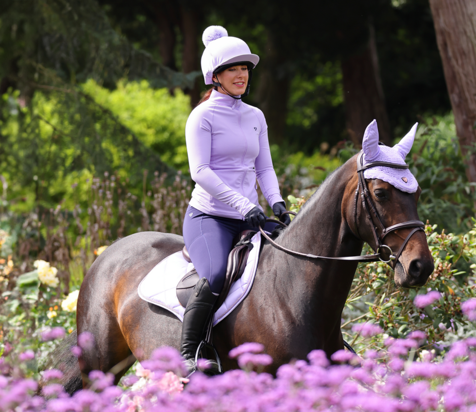 Equestrian gear discount online