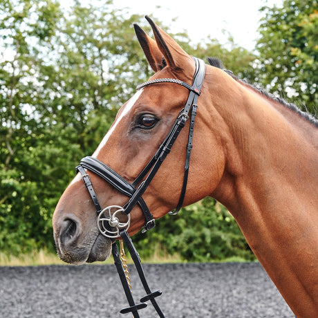 Whitaker Barton Bling Flash Bridle #colour_black