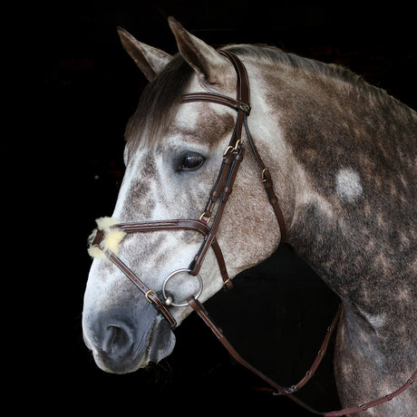 Whitaker Vienna Bridle With Reins #colour_havana