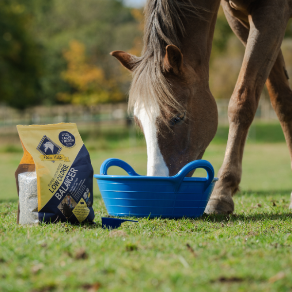 Blue Chip Super Concentrated Low Calorie Balancer