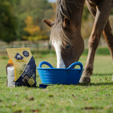 Blue Chip Super Concentrated Low Calorie Balancer