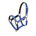 Halter with fleece padding and snap hook