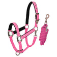 Padded double adjustment headcollar