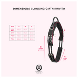 Imperial Riding Vito Lunging Girth #colour_black