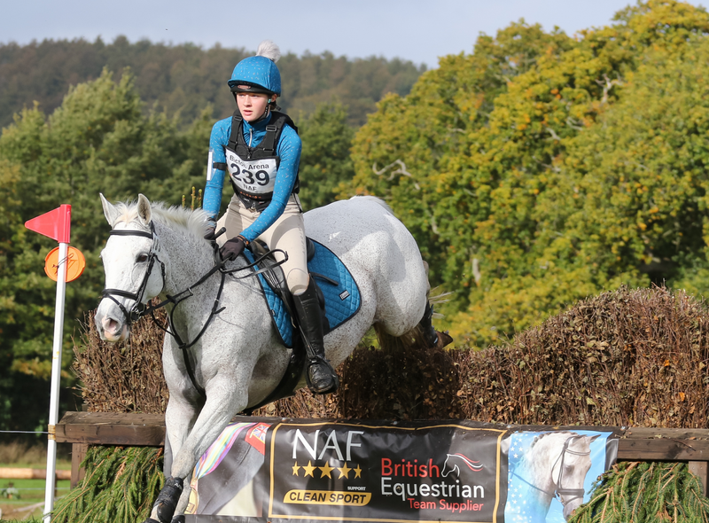 Horse riding deals equipment online shop