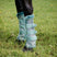 Horseware Ireland Newmarket Fly Boots #colour_witney-dynasty