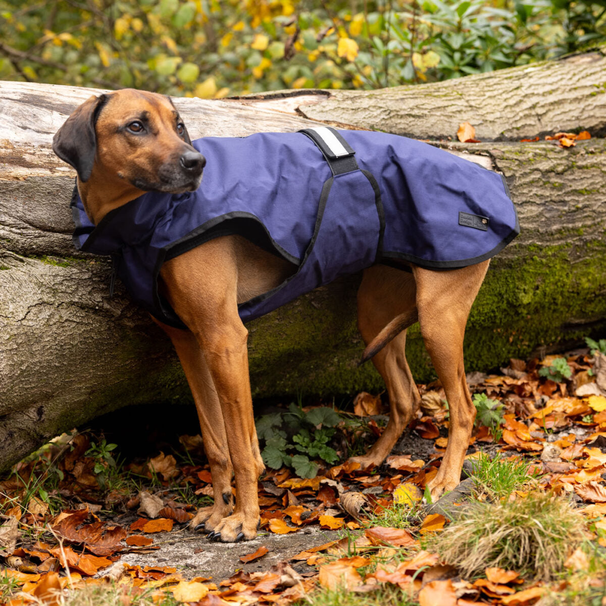 Danish Design 3-In-1 Dog Coat #colour_navy