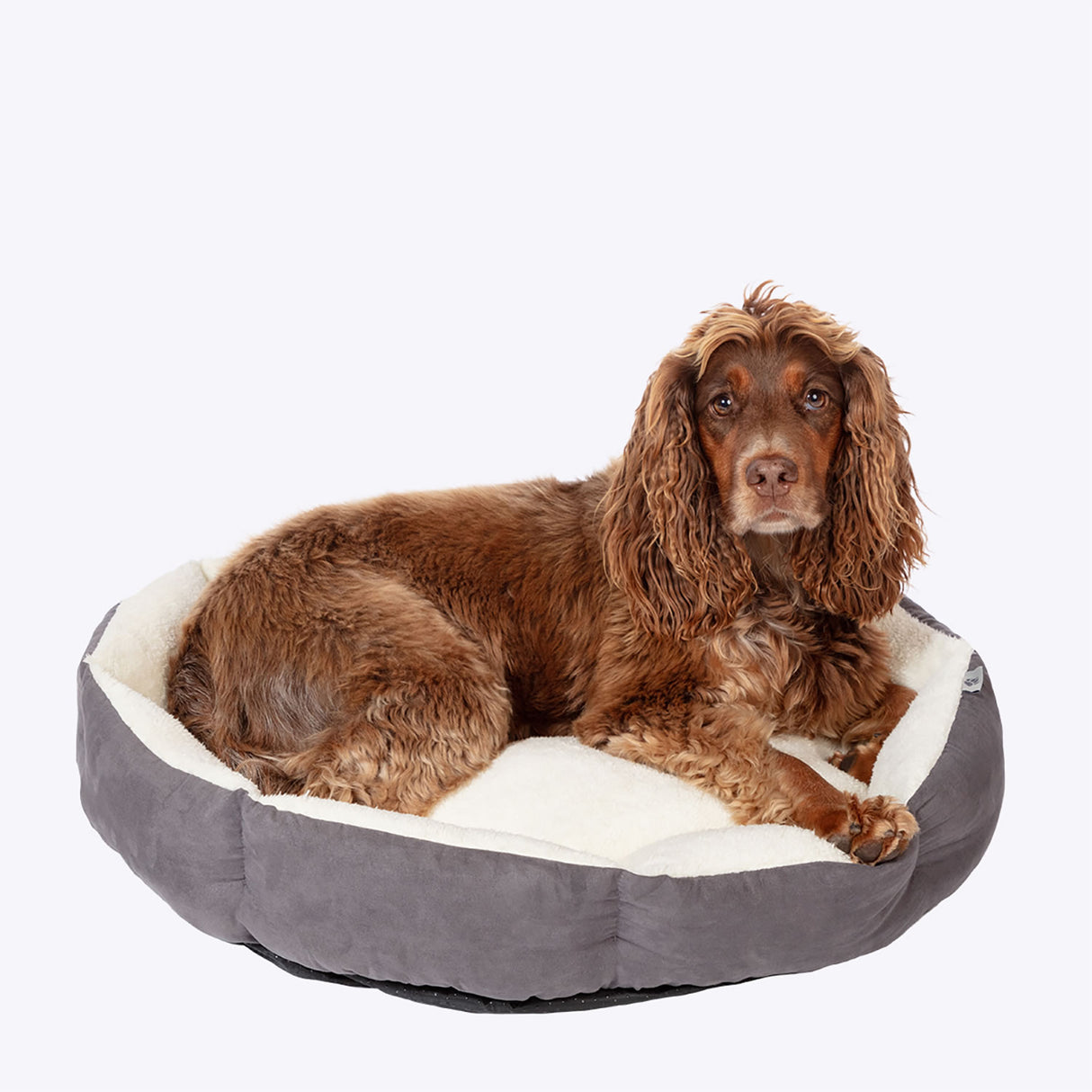 Danish Design Essentials Quilted Bed #colour_charcoal