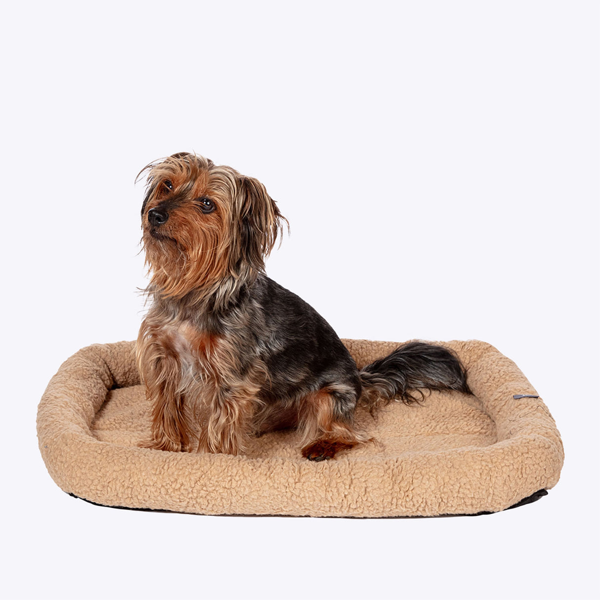 Danish Design Essentials Mattress #colour_beige