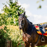 Horseware Ireland Newmarket Ear Net #colour_witney-gold