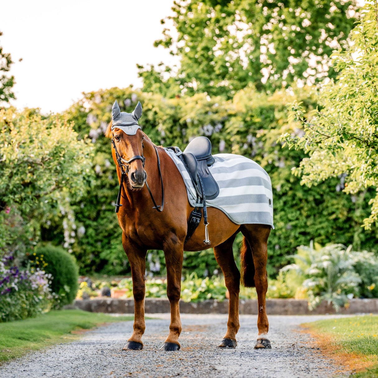 Horseware Ireland Newmarket Exercise Sheet #witney-charcoal