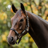 Horseware Ireland Field Safe Headcollar