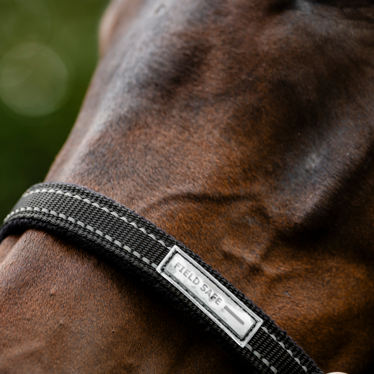 Horseware Ireland Field Safe Headcollar