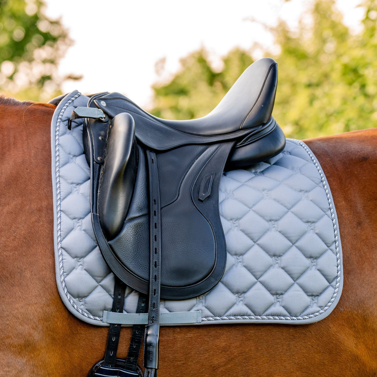 Horseware Ireland Newmarket Dressage Pad #colour_witney-charcoal