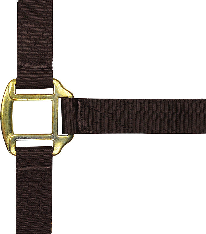 Norton Equestrian Products | GS Equestrian