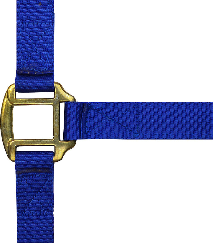 Norton Leather Lined Nylon Headcollar