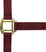 Norton Leather Lined Nylon Headcollar