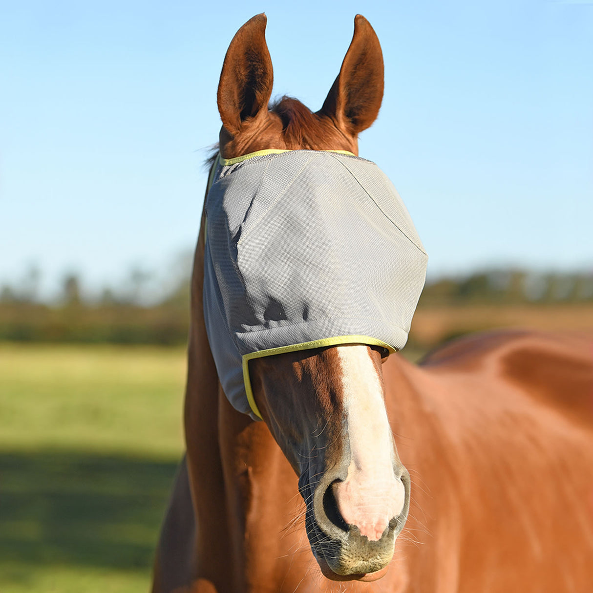 Equilibrium Field Relief Midi Fly Mask Without Ears #colour_grey-yellow