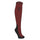 Mark Todd Competition Socks #colour_burgundy
