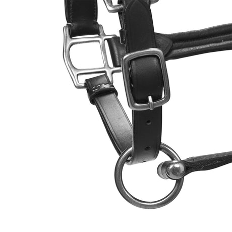 Soft leather halter with durable buckles NEW