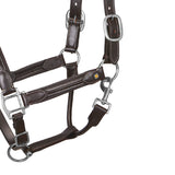 Soft leather halter with durable buckles NEW