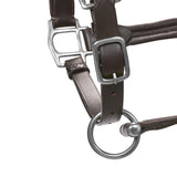 Soft leather halter with durable buckles NEW