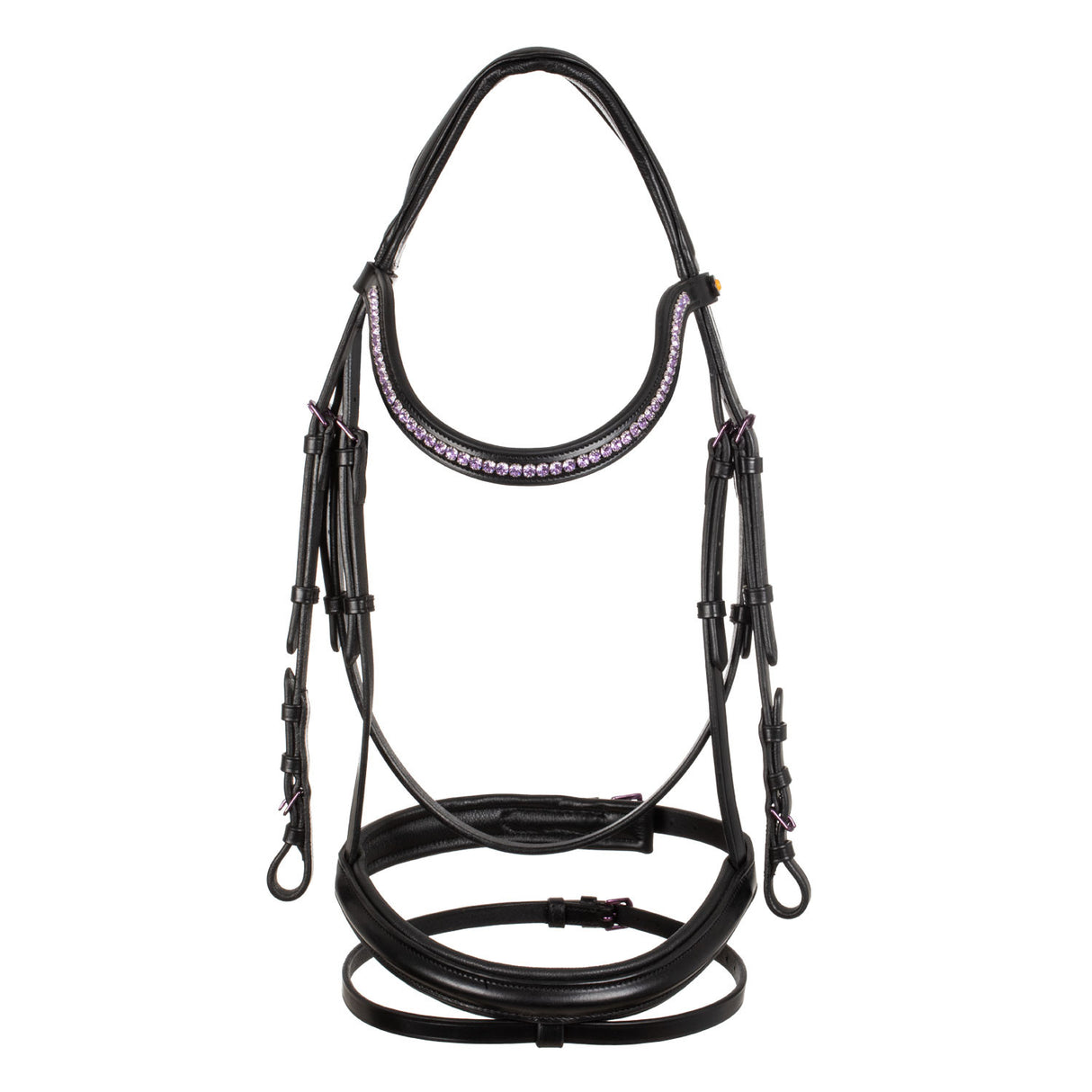 ANATOMIC LEATHER BRIDLE BLACK FITTING